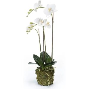 Emerald kunstig phalaenopsis-orkidé 70 cm hvid