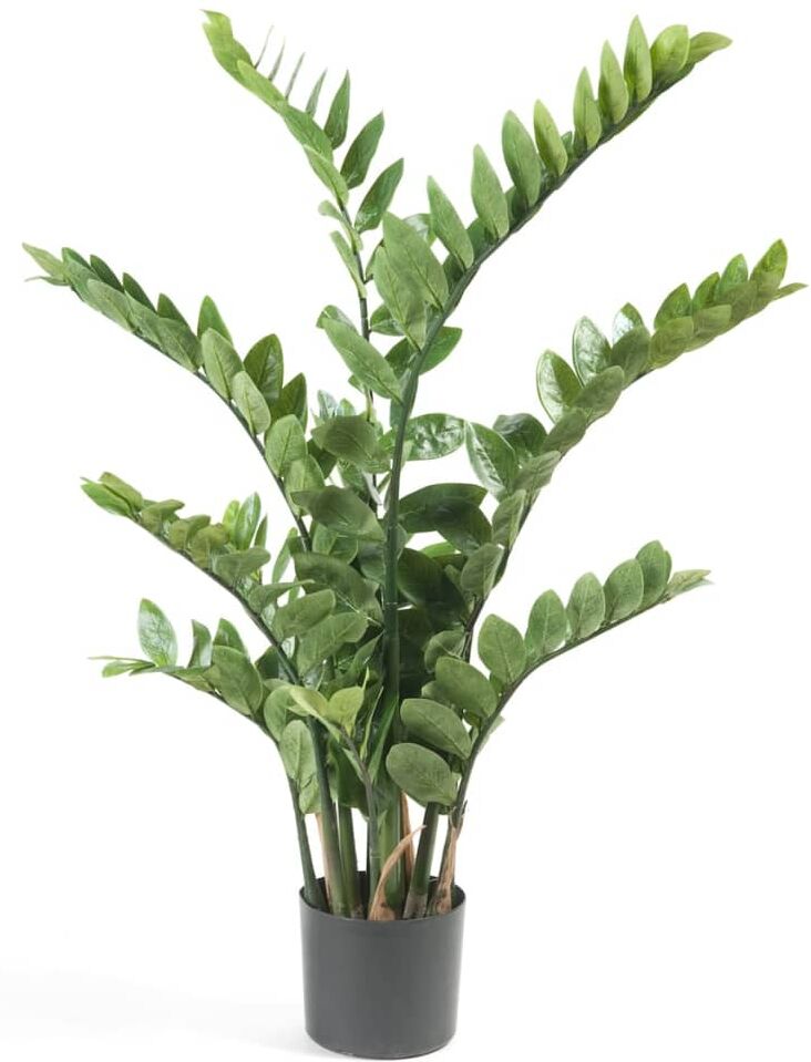 Emerald kunstig zamioculcas i grøn 110 cm 11.662C Emerald kunstig zamioculcas i grøn 110 cm 11.662C