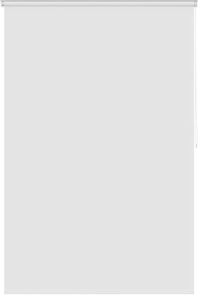 vidaXL rullegardin til brusekabine 160 x 240 cm hvid vidaXL rullegardin til brusekabine 160 x 240 cm hvid