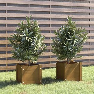 vidaXL plantekasser 2 stk. 31x31x31 cm massivt fyrretræ gyldenbrun