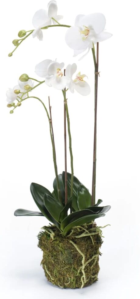 Emerald kunstig phalaenopsis-orkidé 70 cm hvid