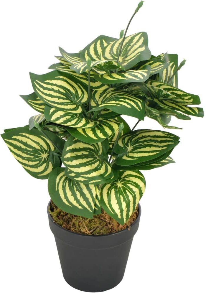 vidaXL kunstig plante peperomia med potte 45 cm grøn vidaXL kunstig plante peperomia med potte 45 cm grøn