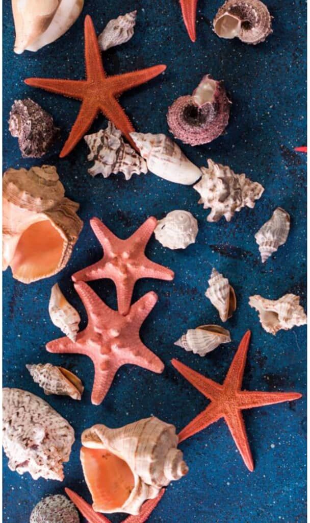 Good Morning badehåndklæde SEA STAR 100x180 cm blå Good Morning badehåndklæde SEA STAR 100x180 cm blå