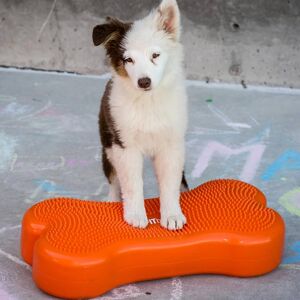 FitPAWS balanceplatform til kæledyr K9FITbone 58x29x10 cm orange