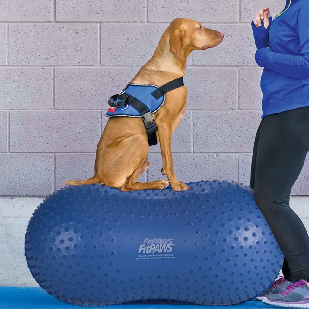 FitPAWS balanceplatform til kæledyr Trax Peanut 60 cm blå FitPAWS balanceplatform til kæledyr Trax Peanut 60 cm blå