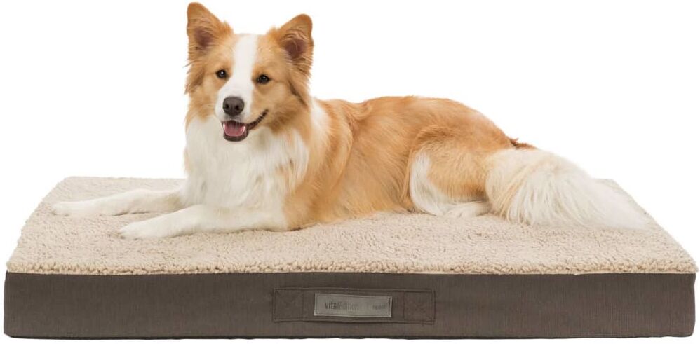 TRIXIE kæledyrsmadras Bendson Vital 100x65 cm mørkebrun og beige TRIXIE kæledyrsmadras Bendson Vital 100x65 cm mørkebrun og beige