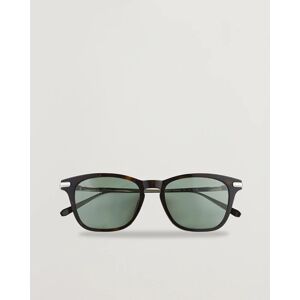 Brioni BR0092S Titanium Sunglasses Havana Green men One size Brun