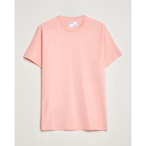 Colorful Standard Classic Organic T-Shirt Bright Coral men M Pink