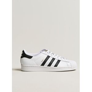 adidas Originals Superstar Sneaker White/Black men EU42 Hvid