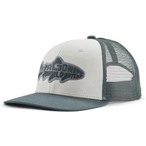 Patagonia Take a Stand Trucker Hat