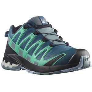 Salomon XA Pro 3D v8 GTX Womens, Legion / Trooper 42