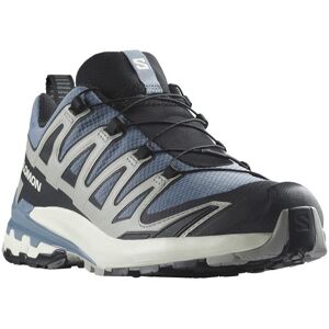 Salomon XA Pro 3D V9 GTX Mens, Flint Stone / Ghost 42,5