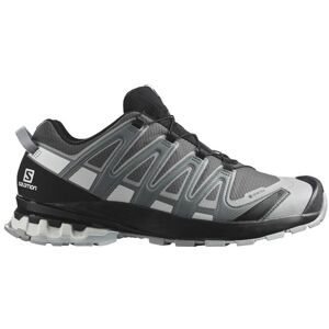 Salomon XA Pro 3D v8 GTX Mens, Magnet / Stormy Weather 43