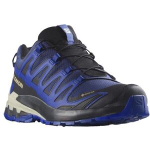 Salomon XA Pro 3D V9 GTX Mens, Blue Print / Surf The Web 42