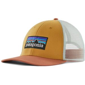 Patagonia P-6 Logo LoPro Trucker Hat