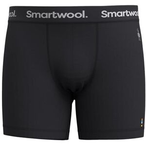 Smartwool Mens Everyday Merino Boxer Brief, Black M Smartwool Mens Everyday Merino Boxer Brief, Black M