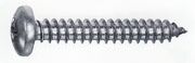 Pladeskrue 5,5x16 PH Kryds A2 DIN7981 Pladeskrue 5,5x16 PH Kryds A2 DIN7981