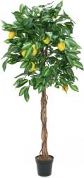 Europalms Lemon tree, artificial plant, 150cm TILBUD NU Europalms Lemon tree, artificial plant, 150cm TILBUD NU