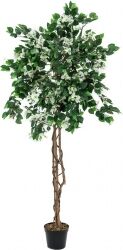 Europalms Bougainvillea, artificial plant, white, 180cm TILBUD NU europalm hvid Europalms Bougainvillea, artificial plant, white, 180cm TILBUD NU europalm hvid