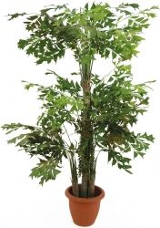 Europalms Fishtail bush, artificial plant, 380cm TILBUD NU Europalms Fishtail bush, artificial plant, 380cm TILBUD NU