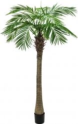 Phoenix Europalms Phoenix palm tree luxor, artificial plant, 300cm håndflade palme træ