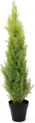 Europalms Cypress, Leyland, artificial plant, 90cm TILBUD NU Europalms Cypress, Leyland, artificial plant, 90cm TILBUD NU