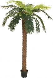 Phoenix Europalms Phoenix palm deluxe, artificial plant, 300cm TILBUD NU Phoenix Europalms Phoenix palm deluxe, artificial plant, 300cm TILBUD NU