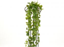 Europalms Pothos bush tendril premium, artificial, 170cm TILBUD NU Europalms Pothos bush tendril premium, artificial, 170cm TILBUD NU