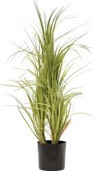 Europalms Dracena bush, with black Pot, artificial, 80cm TILBUD NU Europalms Dracena bush, with black Pot, artificial, 80cm TILBUD NU