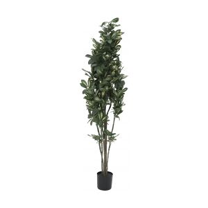 Europalms Schefflera, artificial,120cm TILBUD NU