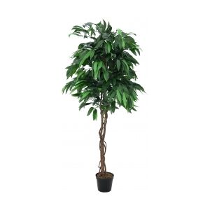 Europalms Jungle tree Mango, artificial plant, 180cm TILBUD NU træ