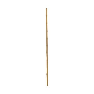 Europalms Bamboo tube, Ø=3cm, 200cm TILBUD NU bambusrør bambus rør