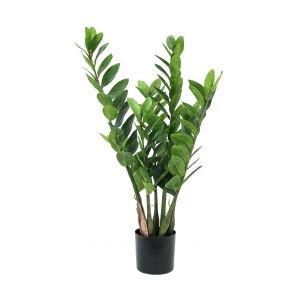 Europalms Zamifolia, artificial plant, 70cm TILBUD NU