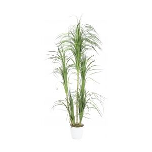 Europalms Dracena bush, artificial, 215cm TILBUD NU busk