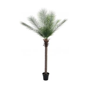 Europalms Phoenix palm deluxe, artificial plant, 220cm TILBUD NU