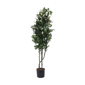 Europalms Schefflera, artificial, 90cm TILBUD NU