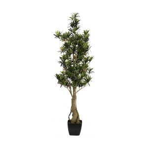 Europalms Podocarpus tree, artificial plant, 115cm TILBUD NU træ