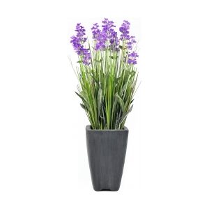 Europalms Lavender, artificial plant, purple, in pot, 45cm europalmer lavendel