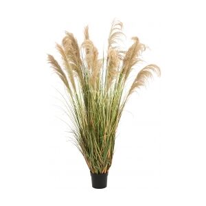 Europalms Chinese silvergrass, artificial, 180cm TILBUD NU