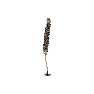 Europalms Cacho coco ca. 120-190cm TILBUD NU Europalms Cacho coco ca. 120-190cm TILBUD NU