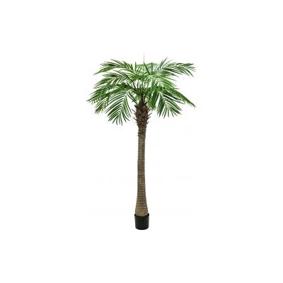 Europalms Phoenix Palm Tree Luxor, artificial plant, 210cm TILBUD NU Europalms Phoenix Palm Tree Luxor, artificial plant, 210cm TILBUD NU