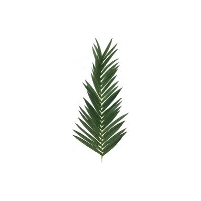 Europalms Coconut King Palm Branch, artificial, 150cm TILBUD NU Europalms Coconut King Palm Branch, artificial, 150cm TILBUD NU