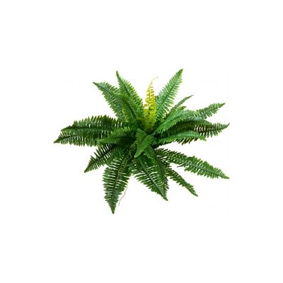 Europalms Boston Fern, artificial plant,53cm TILBUD NU Europalms Boston Fern, artificial plant,53cm TILBUD NU