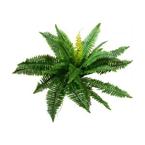 Europalms Boston Fern, artificial plant,53cm TILBUD NU