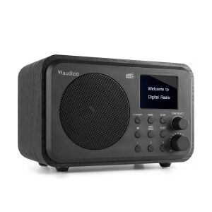 DAB Radio 'Luxus- og Transportabel Radio' DAB/DAB+/FM/Bluetooth modtager og højt