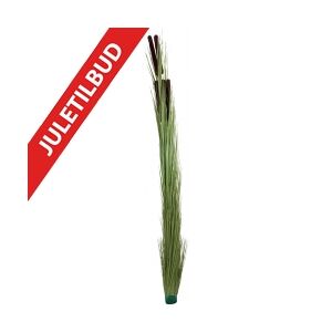 Europalms Reed grass with cattails,light green, artificial, 152cm lysegrøn grøn