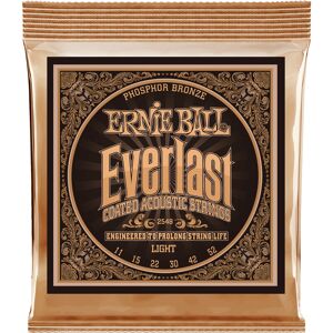 Ernie Ball 2548 Everlast Phosphor Bronze Light western-strenge, 011-052