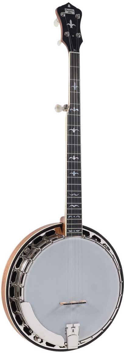 Recording King RK-R35 BR banjo Recording King RK-R35 BR banjo