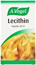 Bioforce Lecithin 60 kapslar Bioforce Lecithin 60 kapslar