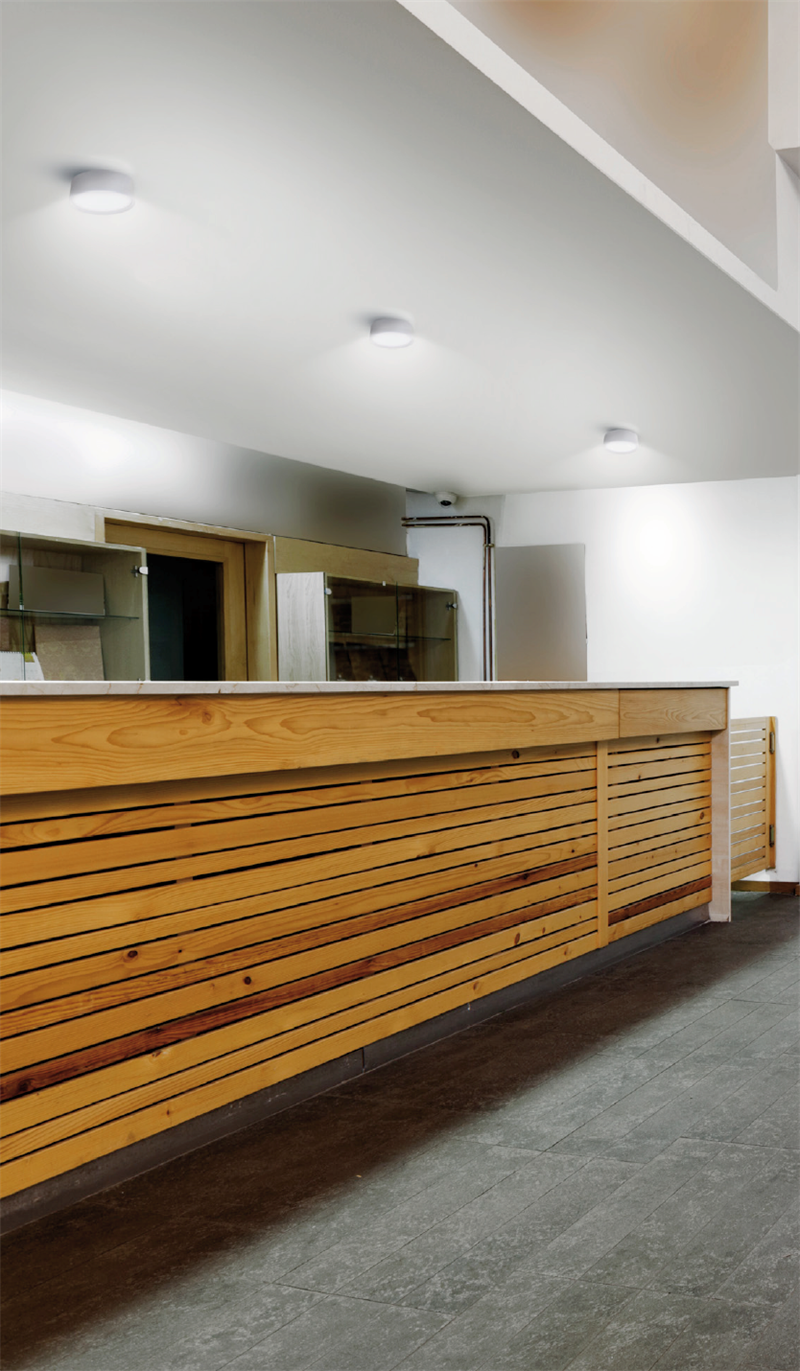 Sylo Loftlampe Med Indbygget Led I Flere Versioner Ip55 Sylo Loftlampe Med Indbygget Led I Flere Versioner Ip55